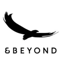 & Beyond